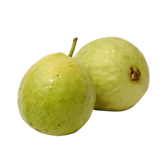 Guava 1 580x580