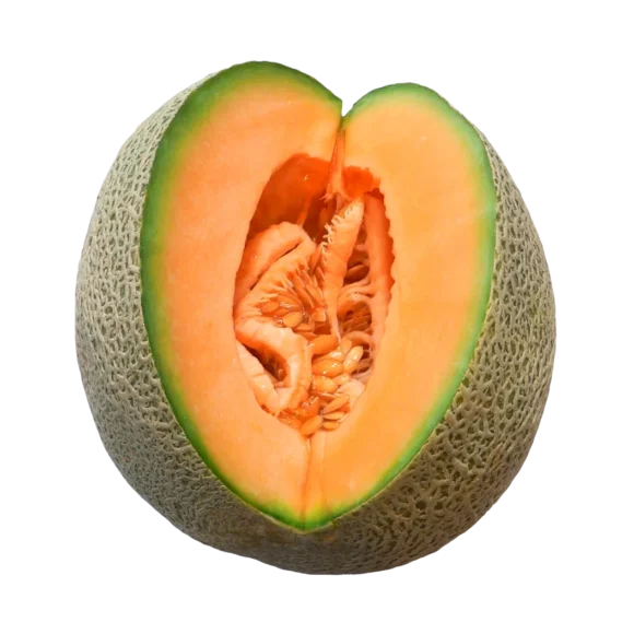 Melon 2 580x580