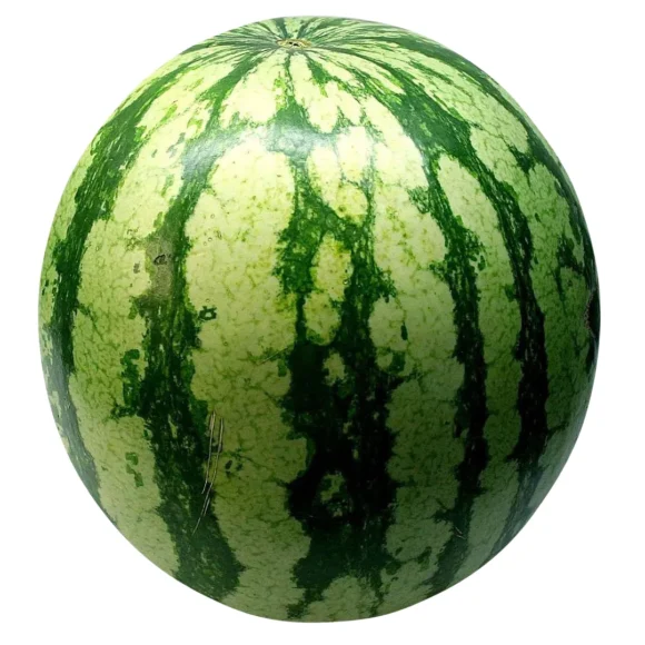 Watermelon 580x580