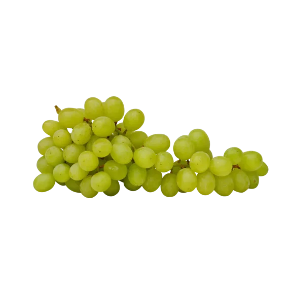 Grape 2 580x580